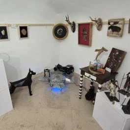 Eco Art Galéria és Bolt Gödöllő - Belső