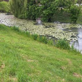 Edelényi kastélysziget Edelény - Külső kép