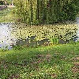 Edelényi kastélysziget Edelény - Külső kép