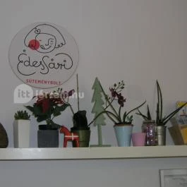 Édes Sári, Budapest - Belső