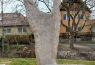 Égbekiáltó Csobánka