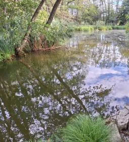 Égett malom (Horváth, Schulmann, Schremmer malom)