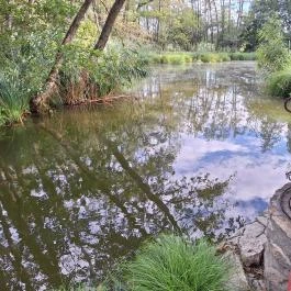 Égett malom (Horváth, Schulmann, Schremmer malom), Pápateszér - Külső kép