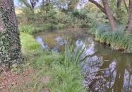 Égett malom (Horváth, Schulmann, Schremmer malom) Pápateszér