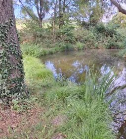 Égett malom (Horváth, Schulmann, Schremmer malom)