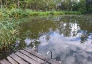 Égett malom (Horváth, Schulmann, Schremmer malom) Pápateszér