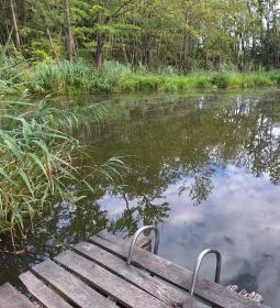 Égett malom (Horváth, Schulmann, Schremmer malom)