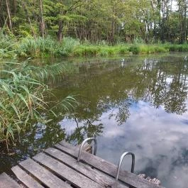 Égett malom (Horváth, Schulmann, Schremmer malom), Pápateszér - Külső kép