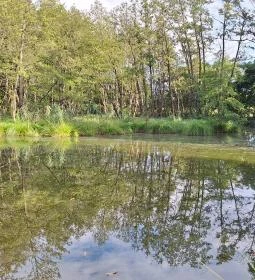 Égett malom (Horváth, Schulmann, Schremmer malom)