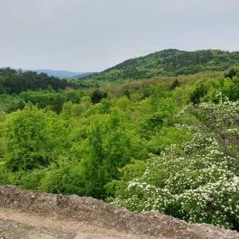 Egri Vár másolata Pilisborosjenő - Külső kép