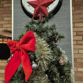 Eker Török Étterem - Bartók Béla út Budapest - Egyéb