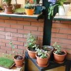 Eldorádó - Rákóczi téri Vásárcsarnok Budapest - Külső kép