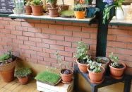 Eldorádó - Rákóczi téri Vásárcsarnok Budapest