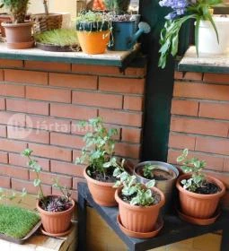 Eldorádó - Rákóczi téri Vásárcsarnok