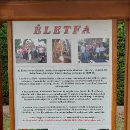 Életfa Szigetbecse - Egyéb