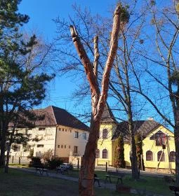 309. legjobb látnivaló: Életfa