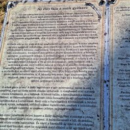 Életfa, Súr - Egyéb