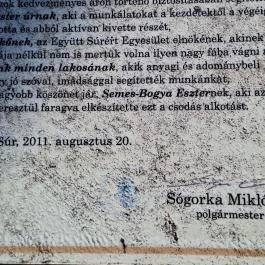 Életfa, Súr - Egyéb