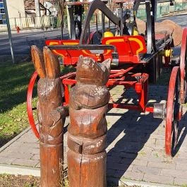 Életfa, Súr - Egyéb