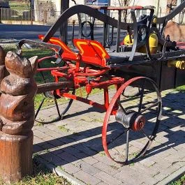 Életfa, Súr - Egyéb