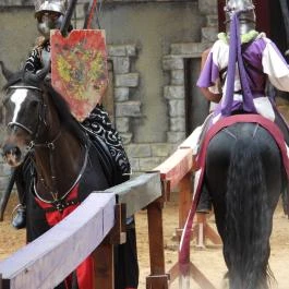 Puchner Élménybirtok Bikal - Egyéb