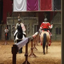 Puchner Élménybirtok Bikal - Egyéb