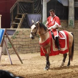 Puchner Élménybirtok Bikal - Egyéb