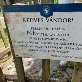 Puchner Élménybirtok Bikal - Egyéb