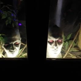 Puchner Élménybirtok Bikal - Egyéb