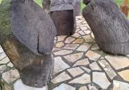 Az elveszett hazáért! Városlőd