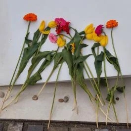 Embermentők, Budapest - Egyéb