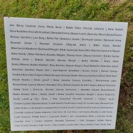 Embermentők, Budapest - Egyéb