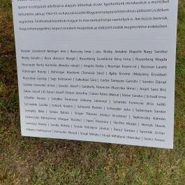 Embermentők, Budapest - Egyéb