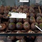 Emily Éclair - Etele Plaza Budapest - Étel/ital