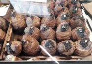 Emily Éclair - Etele Plaza Budapest