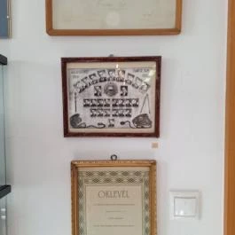 Emitel Telegaléria Kiskunhalas - Egyéb