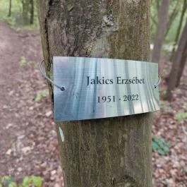 Emlékerdő, Agostyán - Egyéb