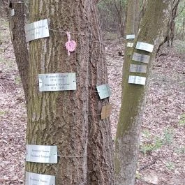 Emlékerdő, Agostyán - Egyéb