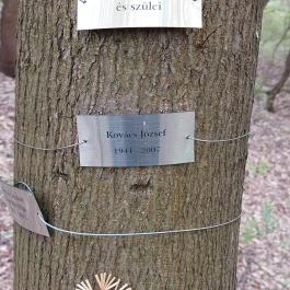 Emlékerdő, Agostyán - Egyéb