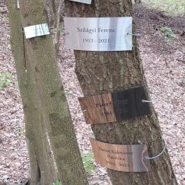 Emlékerdő, Agostyán - Egyéb