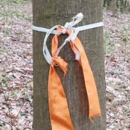 Emlékerdő, Agostyán - Egyéb