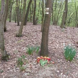 Emlékerdő, Agostyán - Egyéb