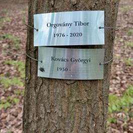 Emlékerdő, Agostyán - Egyéb