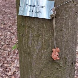 Emlékerdő, Agostyán - Egyéb