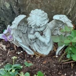 Emlékerdő, Agostyán - Egyéb