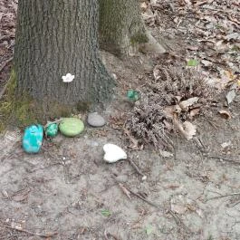 Emlékerdő, Agostyán - Egyéb