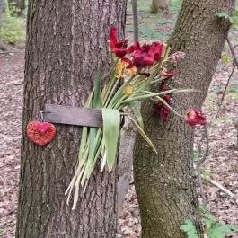 Emlékerdő, Agostyán - Egyéb