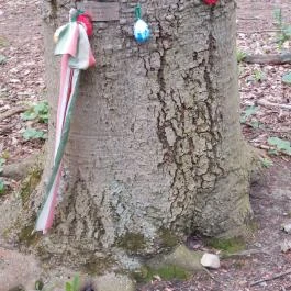 Emlékerdő, Agostyán - Egyéb