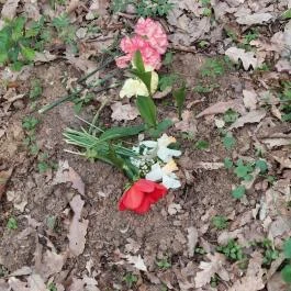 Emlékerdő, Agostyán - Egyéb