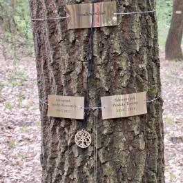 Emlékerdő, Agostyán - Egyéb